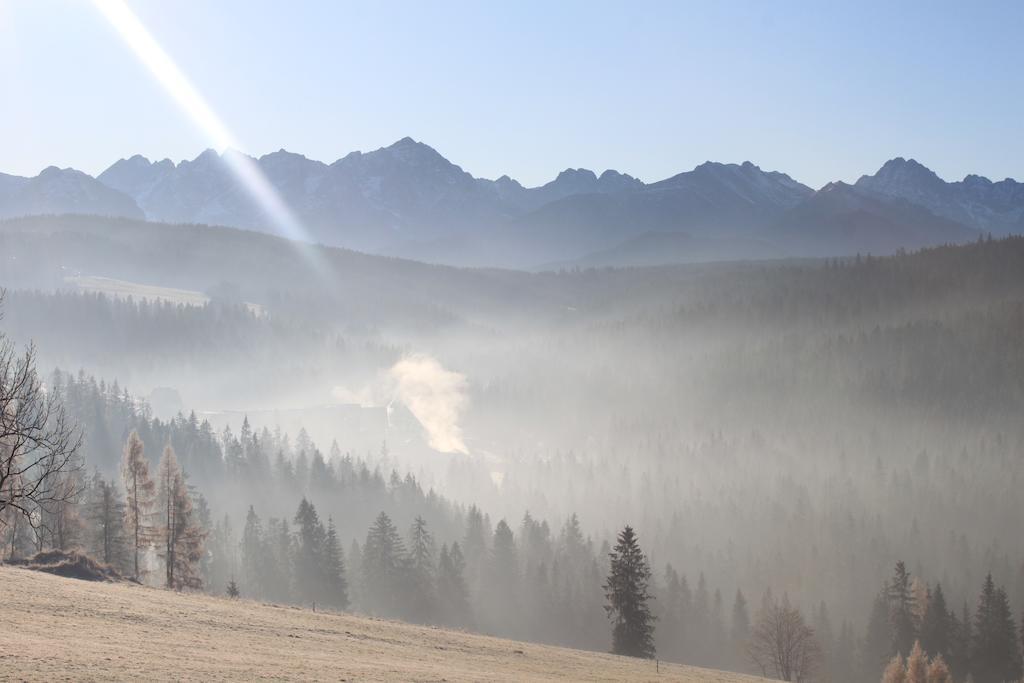 Stylowy Goralski Dom Rozetka Bukowina Tatrzanska Bagian luar foto